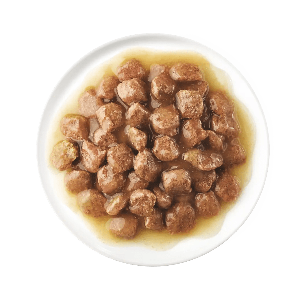 KITTEN AVEC DU POULET EN POCHON