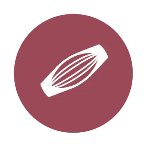 Helps maintain muscle mass