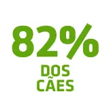 registaram uma redu&ccedil;&atilde;o na <b>acumula&ccedil;&atilde;o de placa</b>