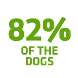 Reduce <b>plaque accumulation</b>