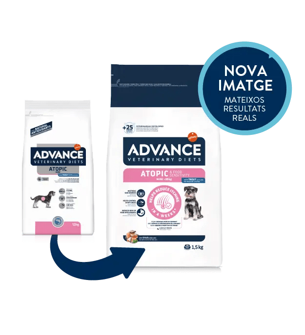 ATOPIC & FOOD SENSITIVITY MINI