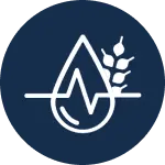 CARBOHIDRATS COMPLEXOS