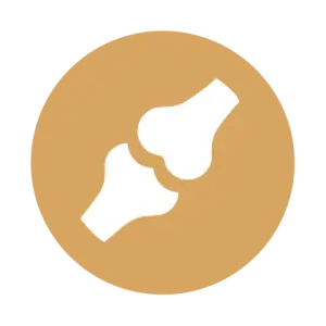 Підтримка суглобів