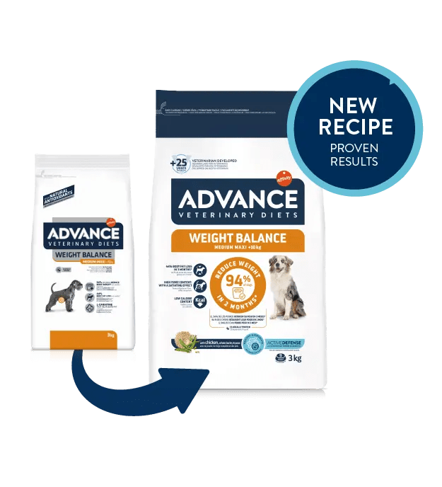 WEIGHT BALANCE MEDIUM / MAXI