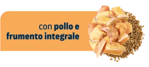 URINARY LOW CALORIE - STERILIZED