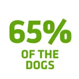 Have a <b>fresher breath</b>