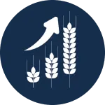 ELEVADO TEOR DE FIBRA