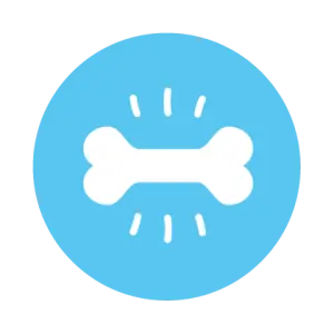 D&eacute;veloppement osseux