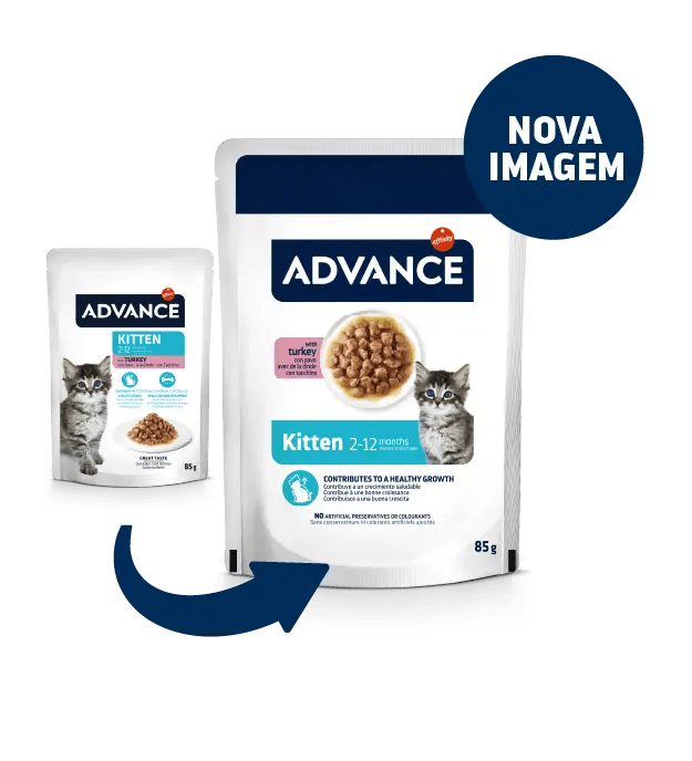 KITTEN COM PERU EM SAQUETAS