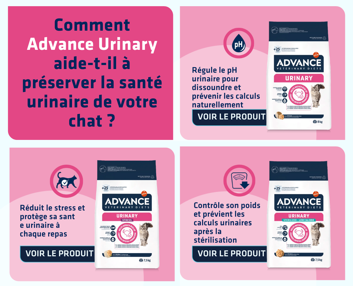 Banner productos gato