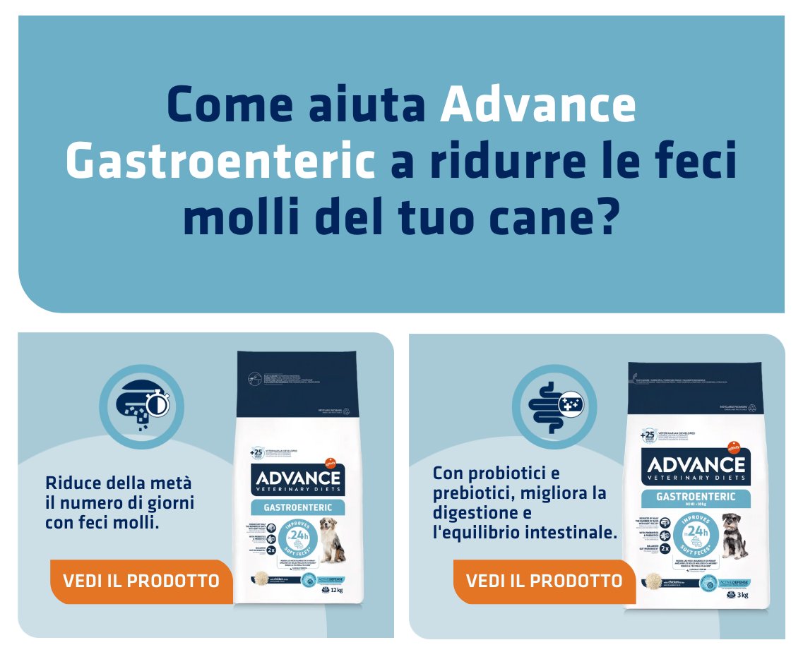 Banner productos gato