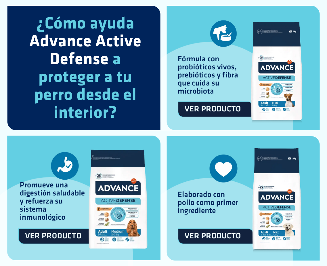 Banner productos gato