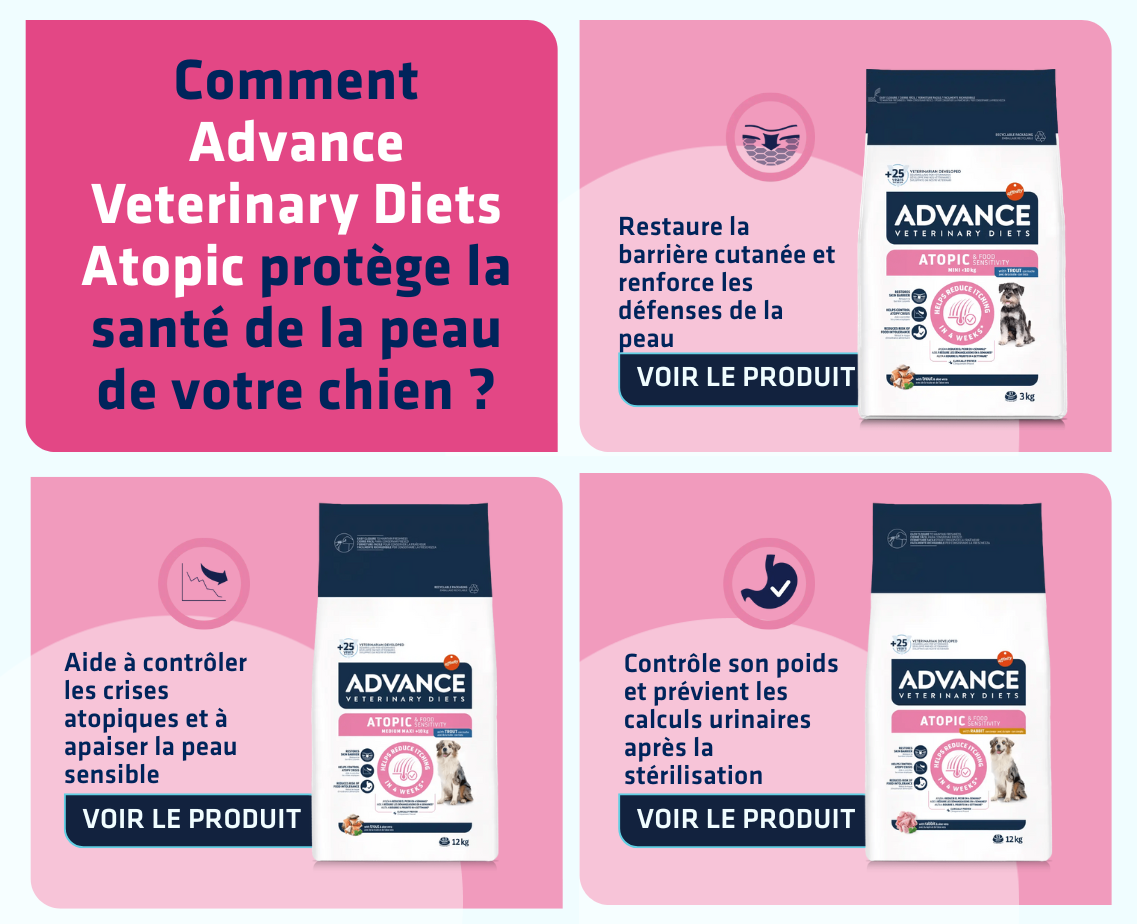 Banner productos gato