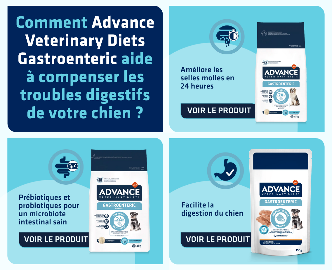 Banner productos gato