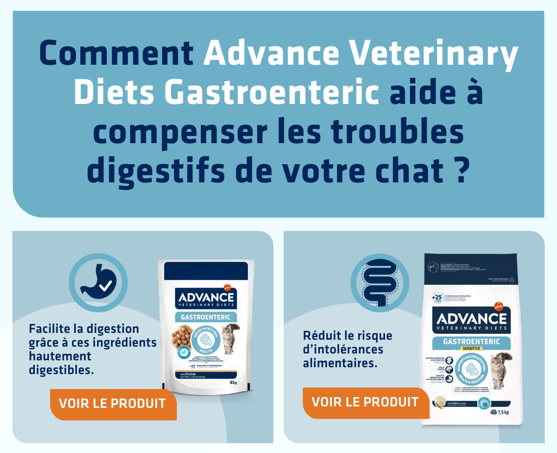 Banner productos gato