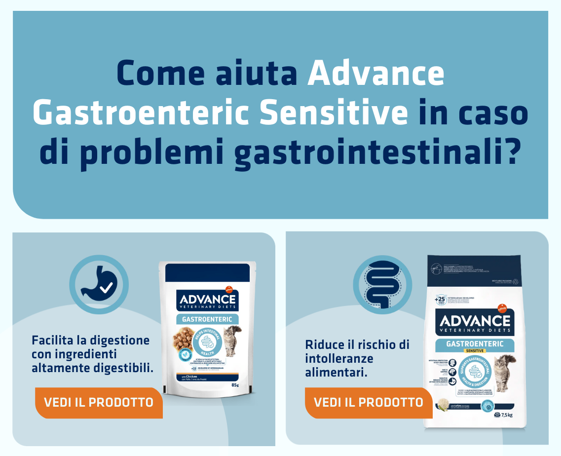 Banner productos gato