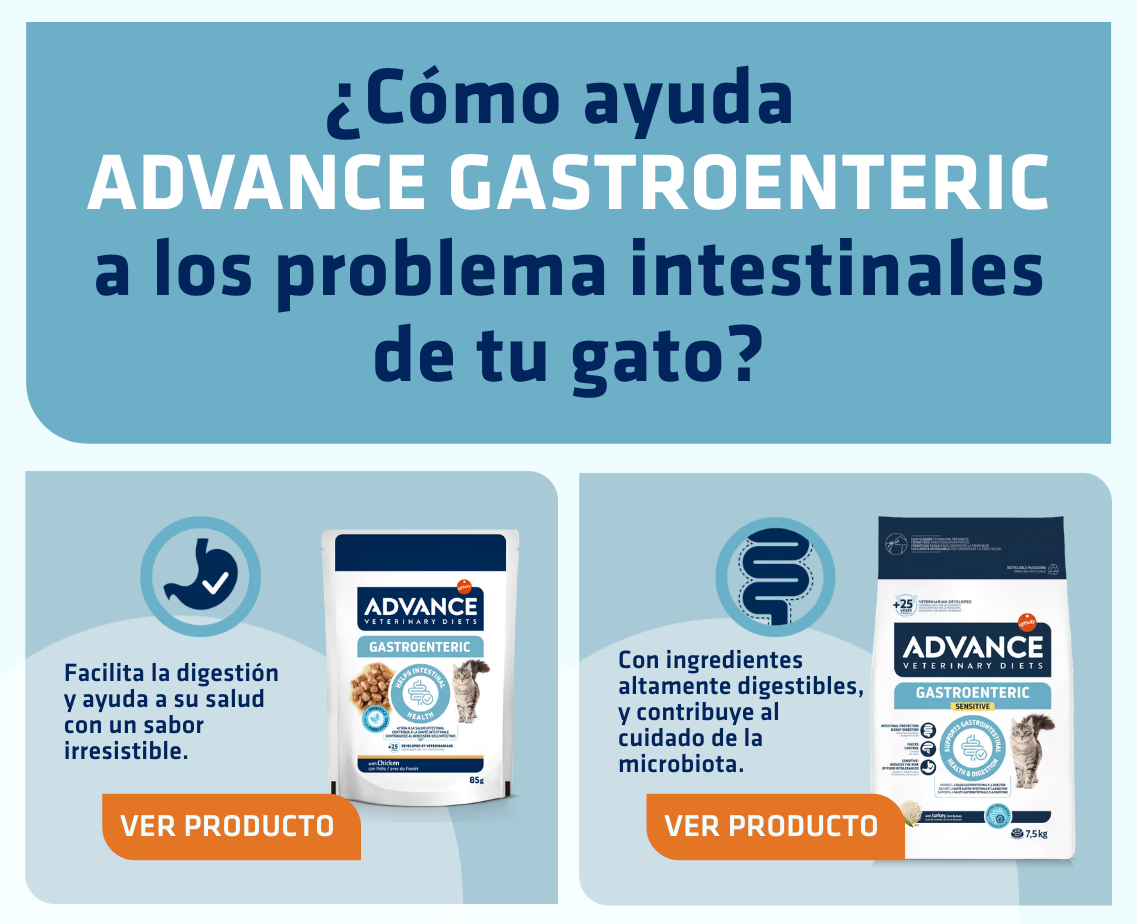 Banner productos gato