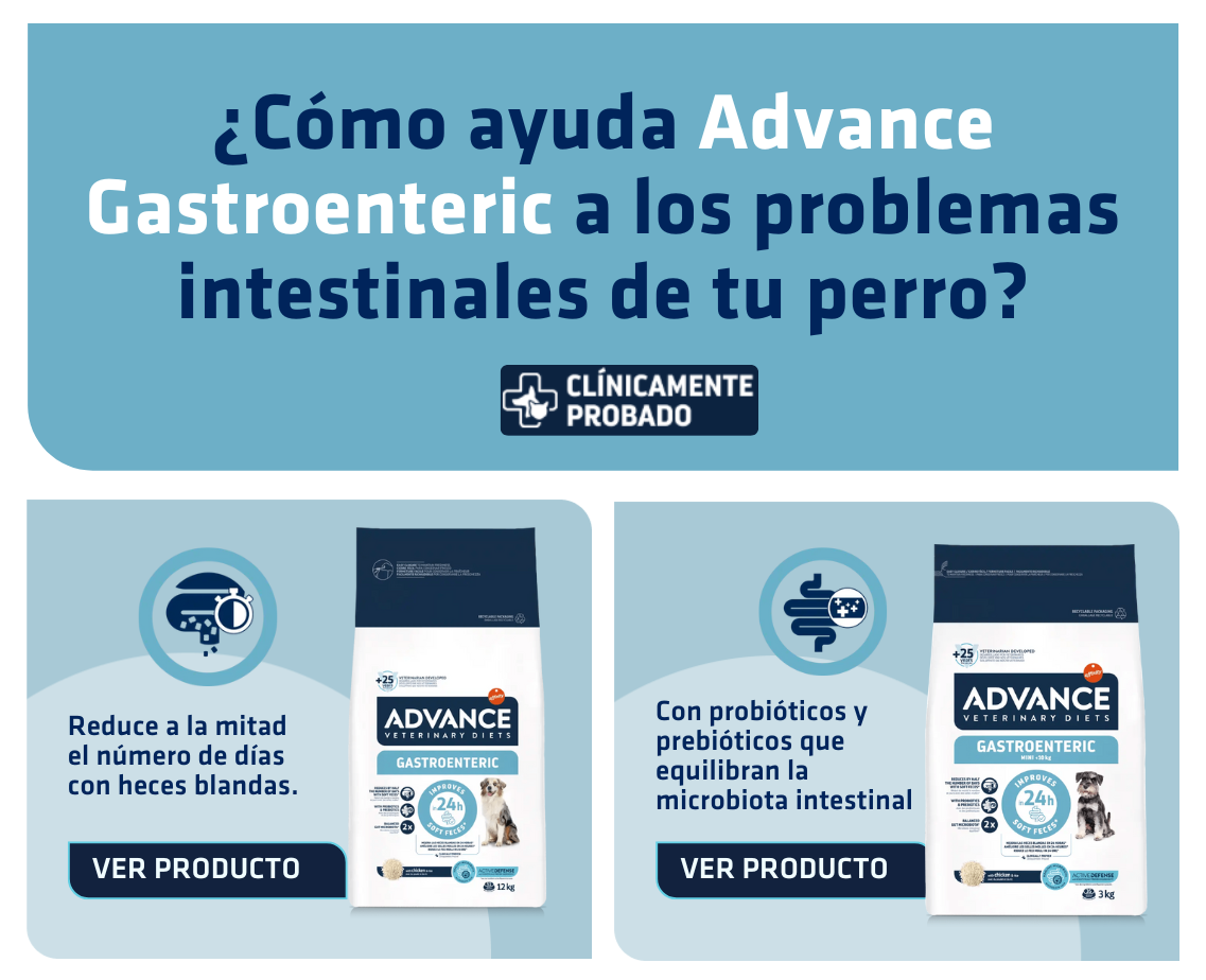 Banner productos gato