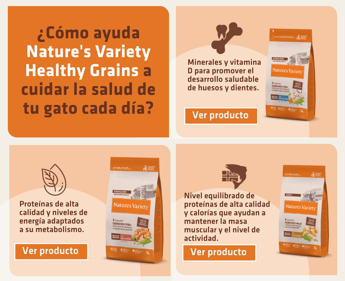 Banner productos gato