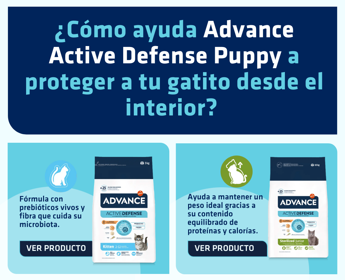 Banner productos gato