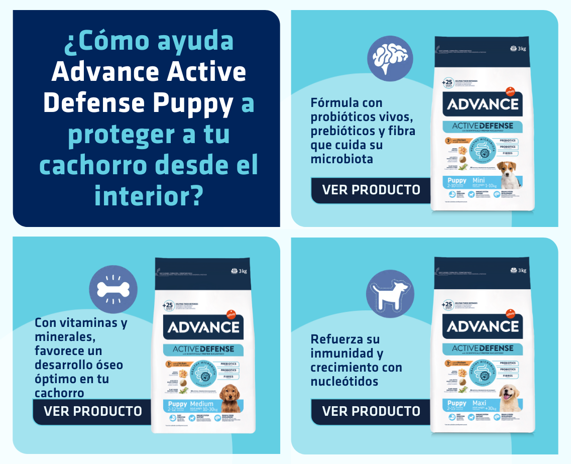 Banner productos gato
