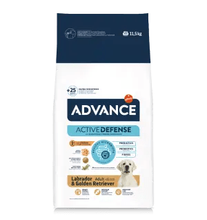 LABRADOR & GOLDEN RETRIEVER