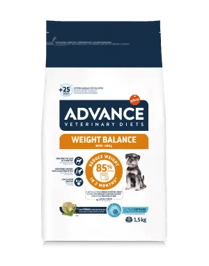 WEIGHT BALANCE MINI