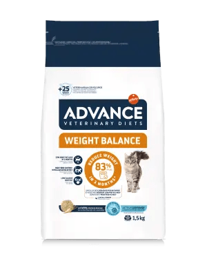 WEIGHT BALANCE