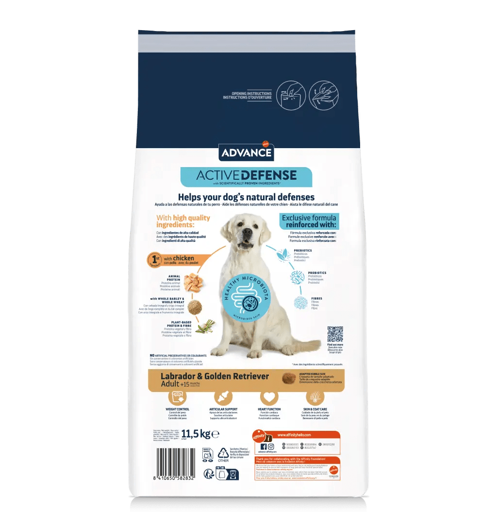 LABRADOR & GOLDEN RETRIEVER