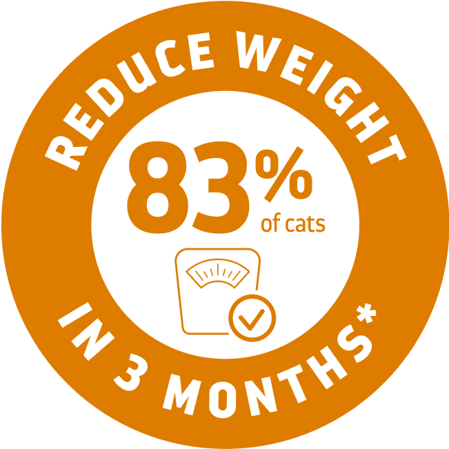 beneficios