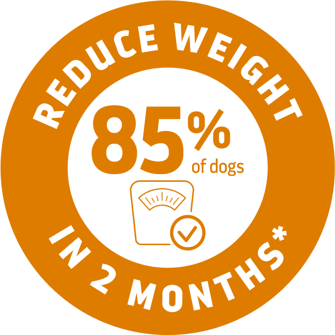 beneficios