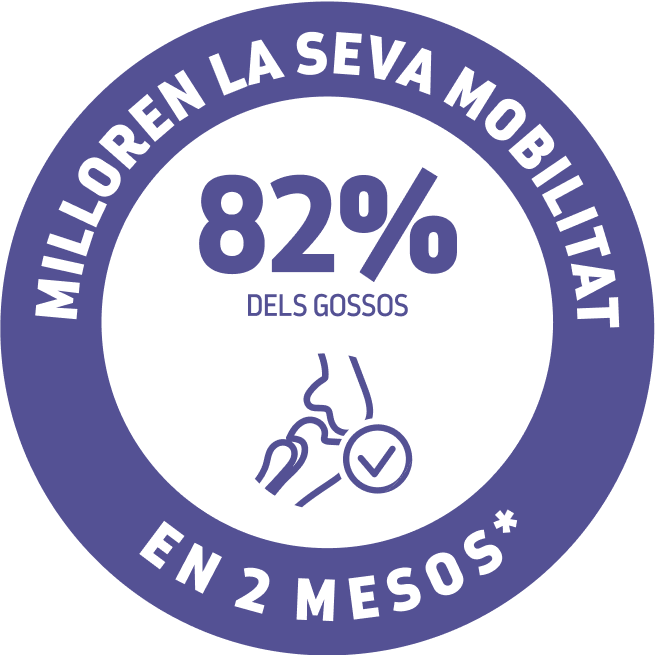 beneficios