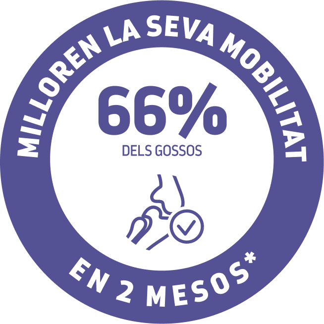 beneficios