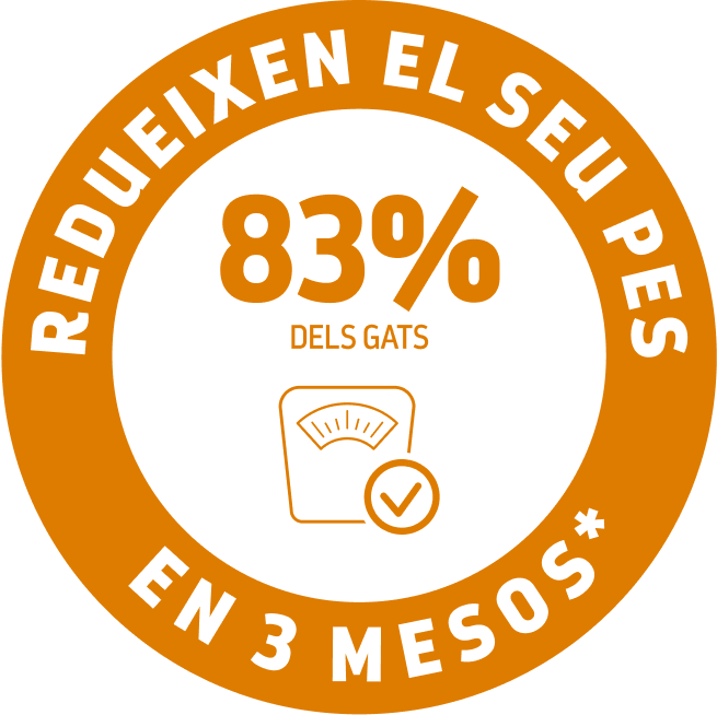 beneficios