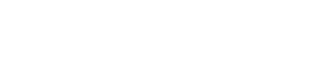 ARTICULAR