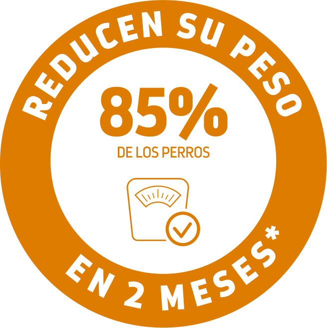 beneficios