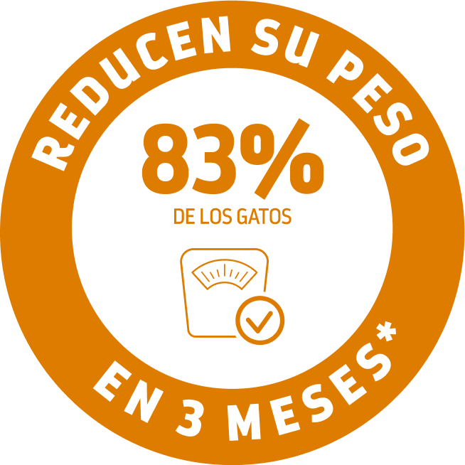 beneficios