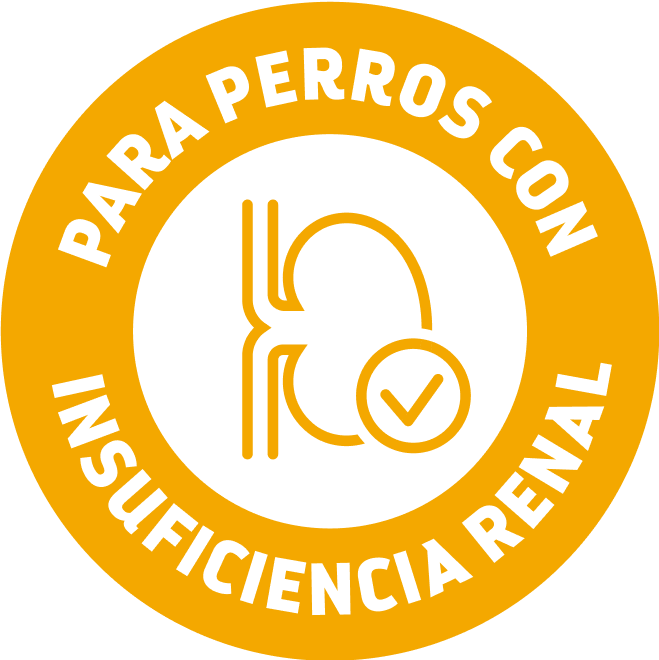 beneficios