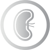 Problèmes rénaux