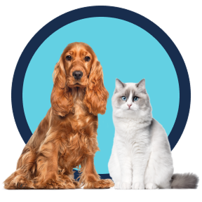 label.hero.banner.pet.image.alt.all