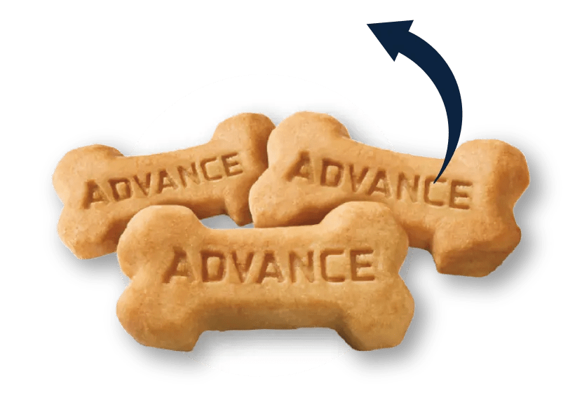 /on/demandware.static/Sites-Advance-fr-Site/-/default/dwde0f87ed/img/pdp/pdp_extra/cookie_orange.png