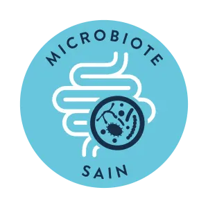 HELTHY MICROBIOTA