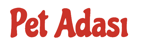 Pet Adasi