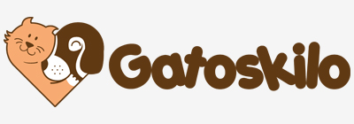 Gatos