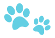 paw.pic.test