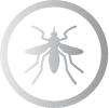 Leishmaniosi