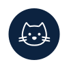 Gatto