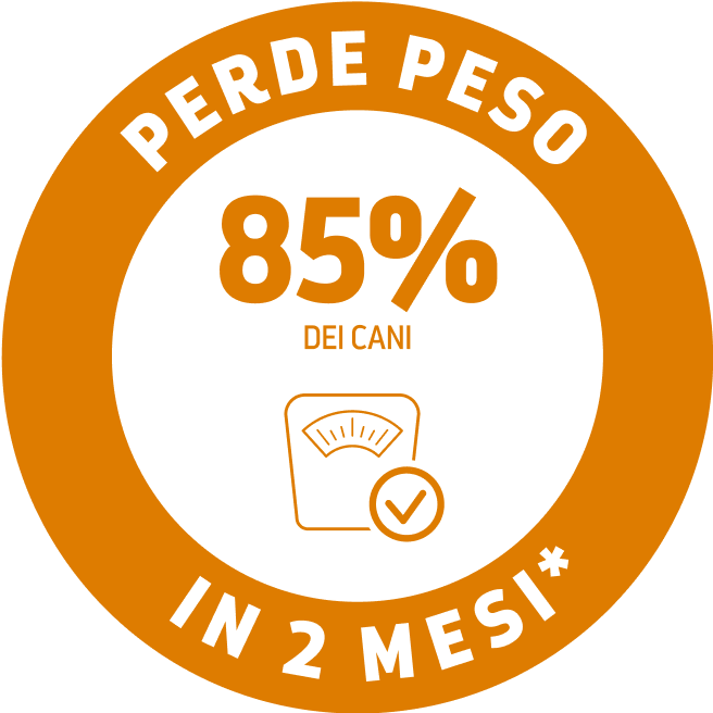 beneficios
